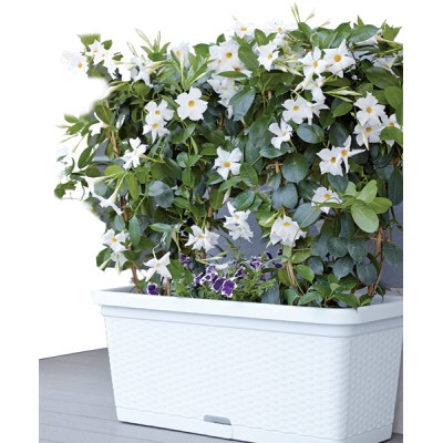 Fioriera natural cm.80 bianca