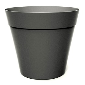 Vaso conico chicago d.30 antracite smoke