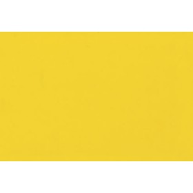 Acolor ac.10 n.1 giallo oro