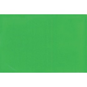 Acolor.10 n.6 verde freddo.Colorante organico concentrato per pitture