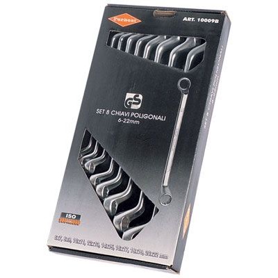Set 8 chiavi poligonali 6-22 box