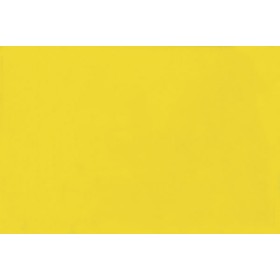 Acolor 10 n.9 giallo limone.Colorante organico concentrato per pitture