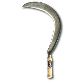 Falciola toscana nr.1 angelo b.