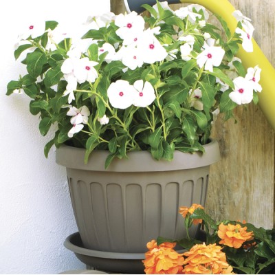 Vaso terra d.30 cappuccino