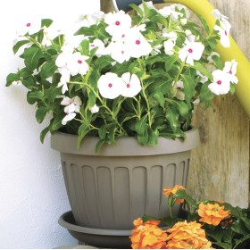 Vaso terra d.35 cappuccino