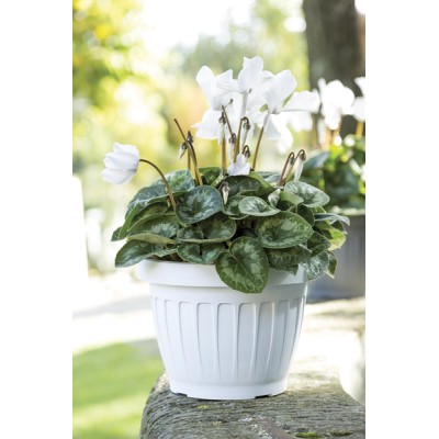 Vaso terra d.40 bianco