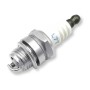 Candela Torch Spark Plugs L7TC/BPM7A filetto M19 Corto