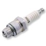 Candela Torch Spark Plugs L6C/BM6A filetto M19 Corto