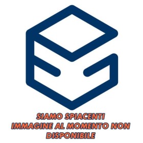 Filtro ricambio per aspiracenere E12