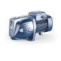 Elettropompa centrifuga autodescante JSWM2CX PEDROLLO