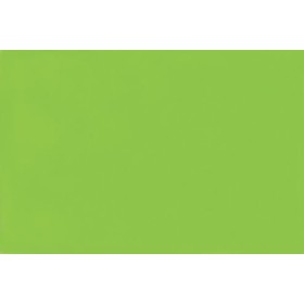 Acolor ac.50 n.17 verde mela