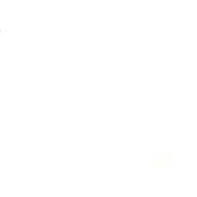 Vernifer 750 ml bianco satinato