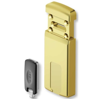 Minimag Piastra Magnetica Doppia Mappa s/ant.15x55 Ottone Giallo