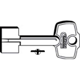 Chiave Doppia Mappa 1C9Q (SLC CPXN)