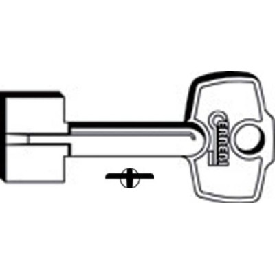 Chiave Doppia Mappa 1C9Q (SLC CPXN)