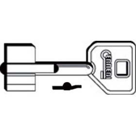 Chiave Doppia Mappa 1KA8 (SLC 5KY6)
