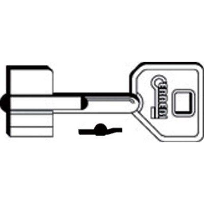 Chiave Doppia Mappa 1KA8 (SLC 5KY6)