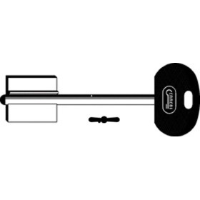 Chiave Doppia Mappa Grandi Testa Plastica 2MO10RP165 (SLC 5MT9BP)