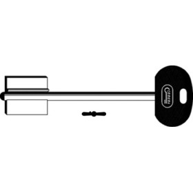 Chiave Doppia Mappa Grandi Testa Plastica 2MO8P165 (SLC MTNBP)