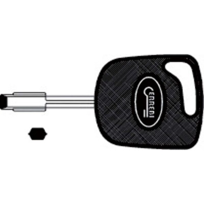 Chiave Auto Speciali Senza Trasponder T00TB1P