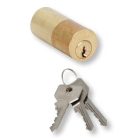 Cilindro a tubo da applicare C2000 55MM