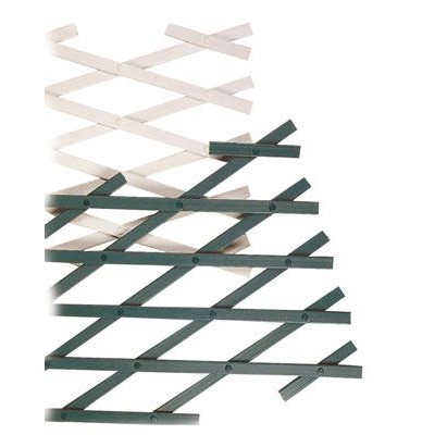 Estensibile plastica verde mt.1x2