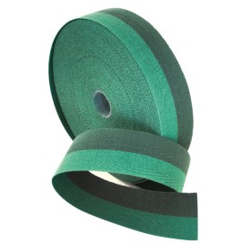 Fettuccia x passat.41mm n.06 verde