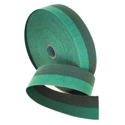 Fettuccia x passat.41mm n.06 verde