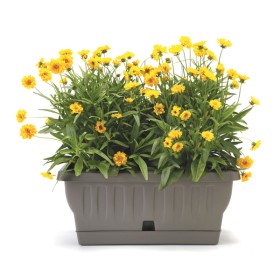 Fioriera natura cm.50 cappuccino