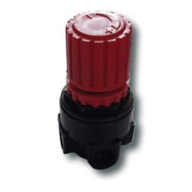 Regolatore pressione x AC202481E/AC255081E