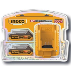 Battery pack con 2 batterie da 2ah + caricabatterie