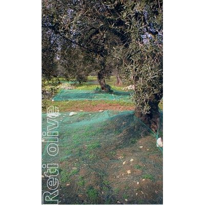 Rete antispina olive occh.mt.4x6