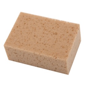 SPUGNA PER LAVAGGIO AUTO IDEA