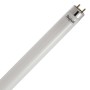 BEGHELLI LED TUBO T8 9W 56231 60 CM FREDDA 6500K