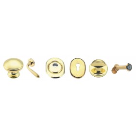 PORTA BLINDATA KIT ACCESSORI SX ORO LUCIDO