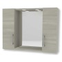 Specchiera contenitore 2 ante 2led cm.77x17x60H rovere grigio
