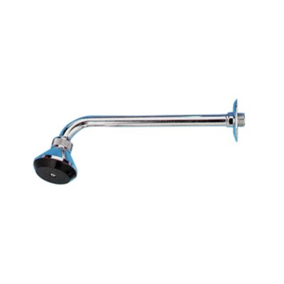 PL BRACCIO DOCCIA C/SOFFIONE 30 CM 0922