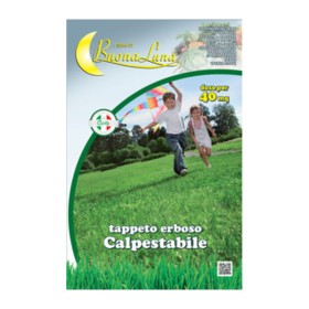 SEMI PRATO CALPESTABILE 1 KG