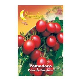 SEMI ORTO POMODORO CILIEGINO