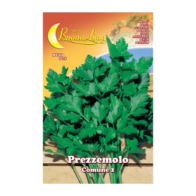 SEMI ORTO PREZZEMOLO COMUNE 2