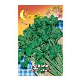 SEMI ORTO SEDANO VERDE DA TAGLIO