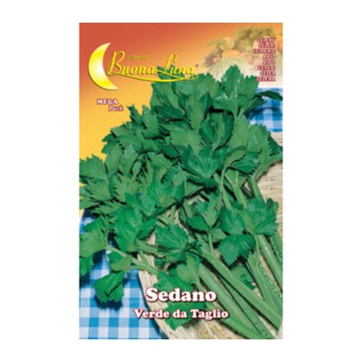 SEMI ORTO SEDANO VERDE DA TAGLIO