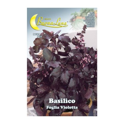SEMI ORTO BASILICO FOGLIA VIOLETTA