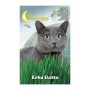 SEMI ORTO ERBA GATTO