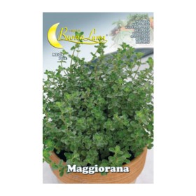 SEMI ORTO MAGGIORANA