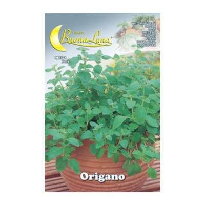 SEMI ORTO ORIGANO