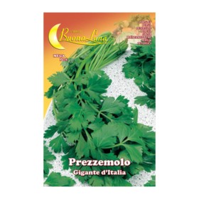 SEMI ORTO PREZZEMOLO GIGANTE
