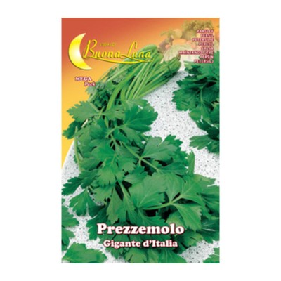SEMI ORTO PREZZEMOLO GIGANTE
