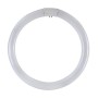 CIRCOLINA FLUO TRIFOSFORO 32W *