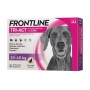 FRONTLINE TRI-ACT 20-40 KG 3 PIPETTE